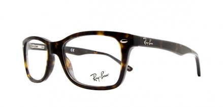 Ray-Ban 5228 2012